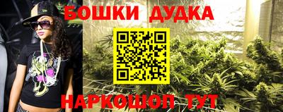 гашик Берёзовский
