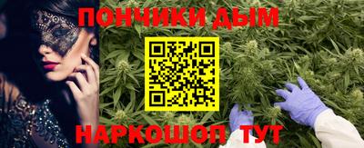 МДПВ Бийск