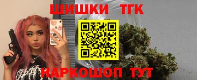 МДПВ Бийск