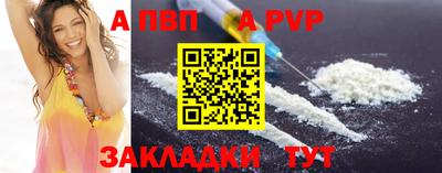 гашик Берёзовский
