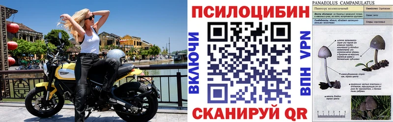 Галлюциногенные грибы ЛСД  что такое   Губкин 