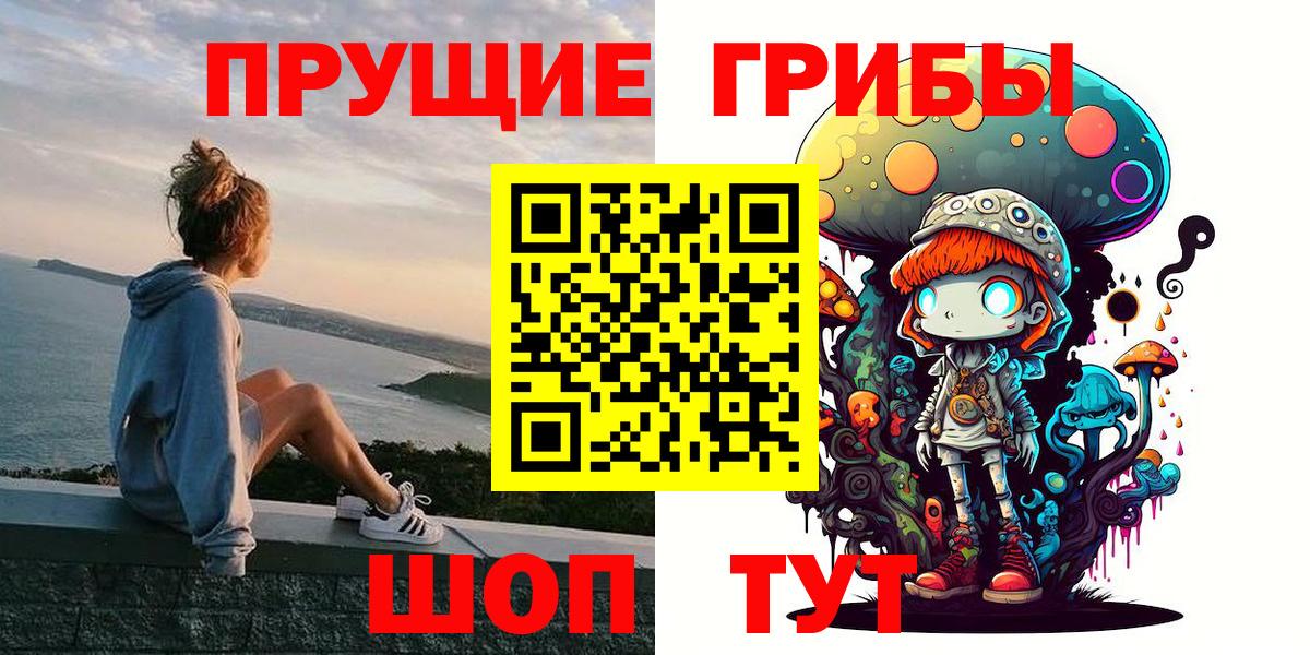 наркота  Губкин  Псилоцибиновые грибы Magic Shrooms 