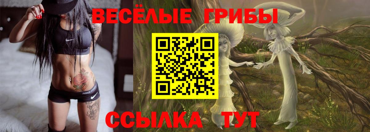Губкин  купить наркотики сайты  Галлюциногенные грибы ЛСД  Вход с VPN  Галлюциногенные грибы Magic Shrooms 
