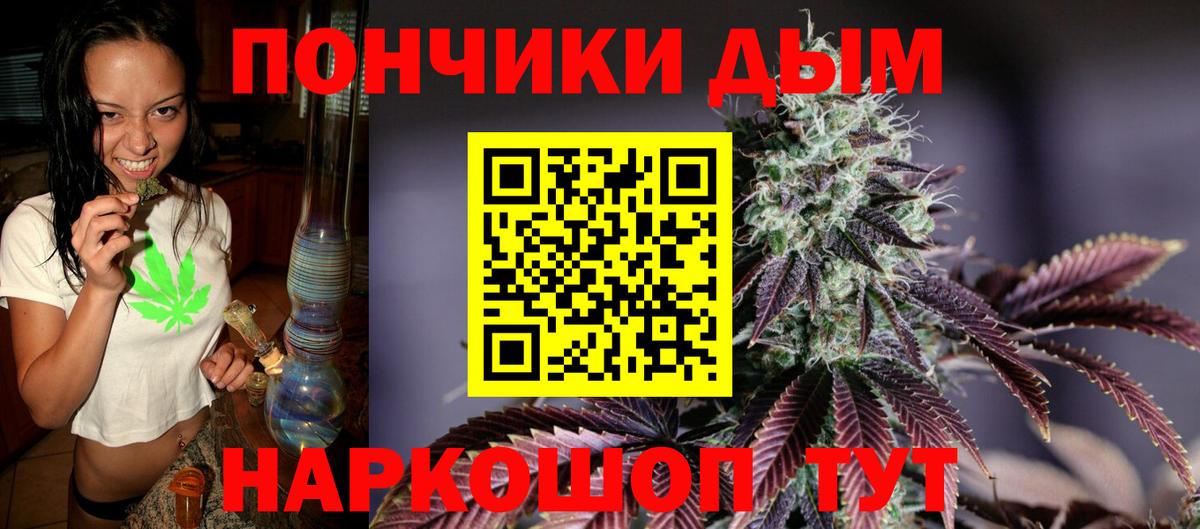 Канабис гибрид Губкин